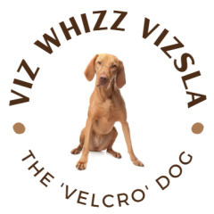 Logo_VizWhizzVizsla-1